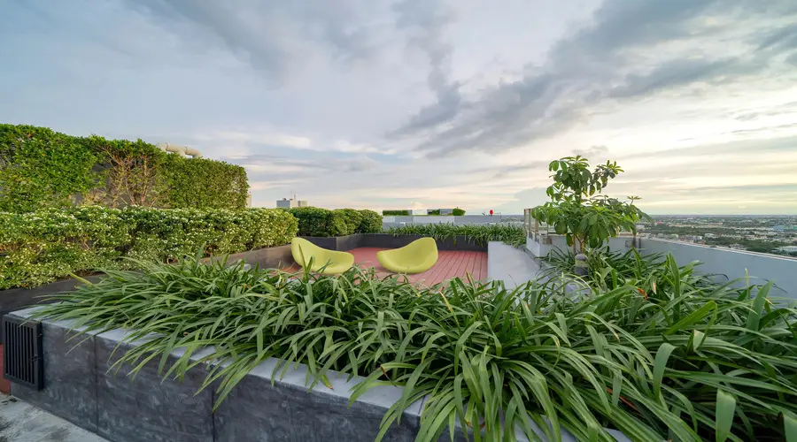 green storeys roof garden